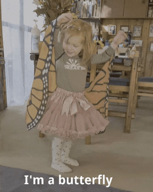 I'm A Flying Butterfly Costume GIF