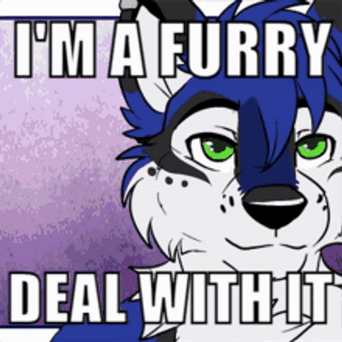I'm A Furry Deal With It GIF