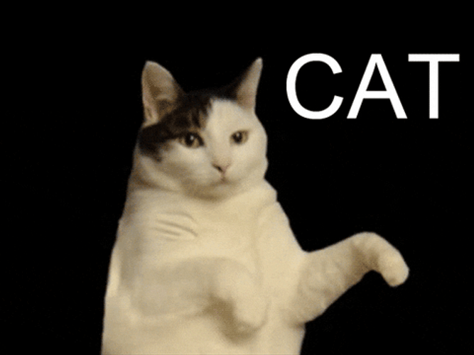 Garfield Animated Cat Twerk Dance GIF