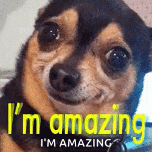 I'm Amazing Big Dawg GIF