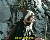 I'm An Enchanter Monty Python Run Away GIF