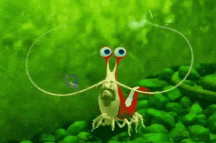 I'm Ashamed Green Shrimp GIF