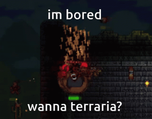 I'm Bored Wanna Terraria GIF