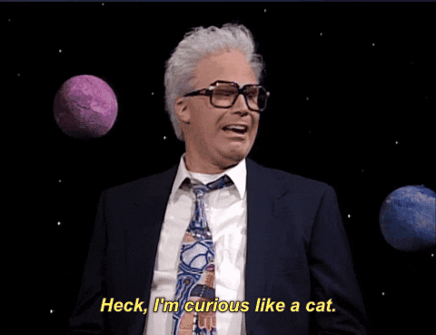 I'm Curious Like A Cat GIF