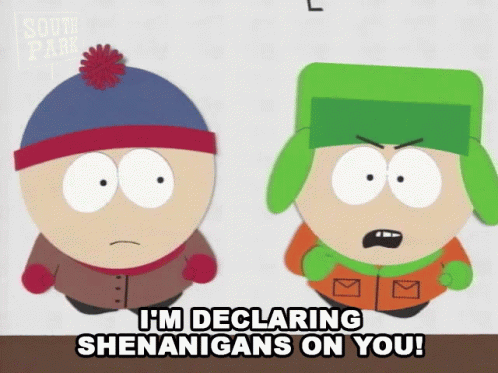 I'm Declaring Shenanigans On You GIF