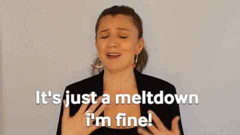 I'm Fine It's Just A Meltdown GIF