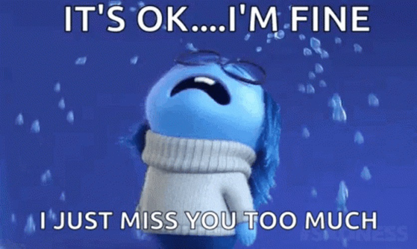 I'm Fine Just Miss You GIF