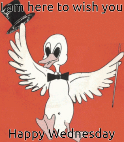 I'm Here To Hilarious Wednesday GIF