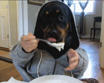 I'm Hungry Dog In Hoodie GIF