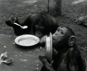 I'm Hungry Monkey Food Plate GIF