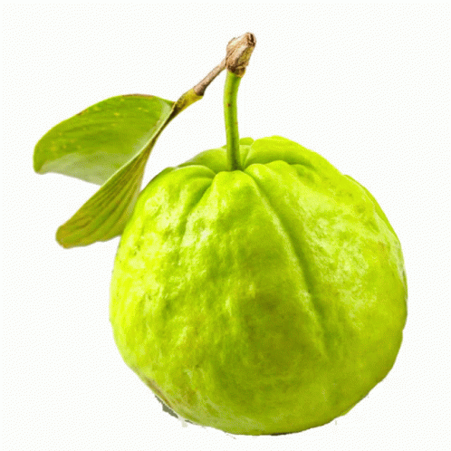 I'm Joey Guavey Guava Fruit GIF