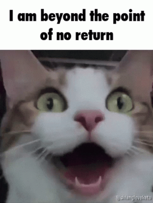I'm On The Point Of No Return Insane GIF