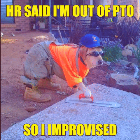 I'm Out Of Pto So Improvised GIF