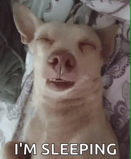 I'm Sleeping Dog Funny Meme GIF