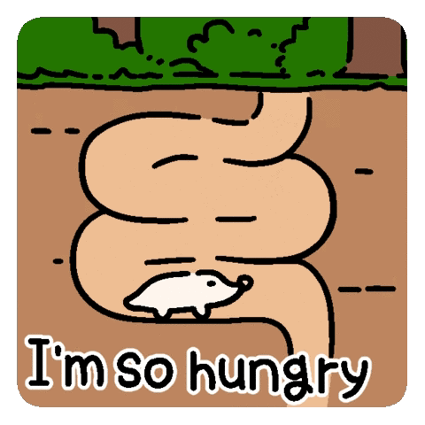 I'm So Hungry Stomach Empty GIF