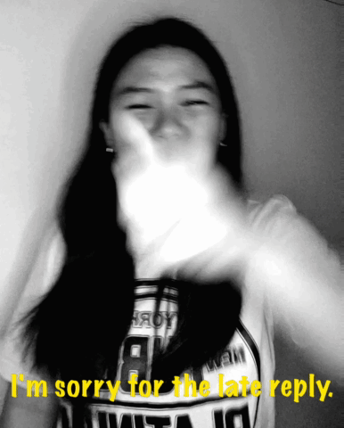 I'm Sorry for the Late Reply Girl T-Shirt