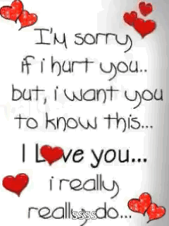 I'm Sorry I Hurt You I Love You