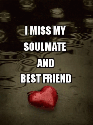 I Miss My Soulmate Best Friend Quote GIF