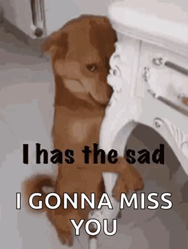 I Miss You Already Human Hugs Please GIF