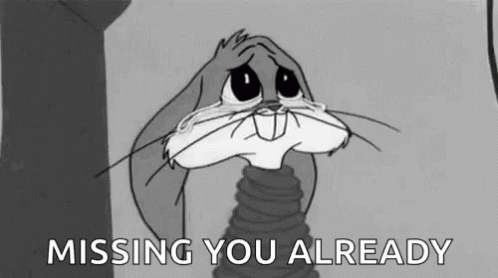 I Miss You Already Sad Bunny Crying GIF