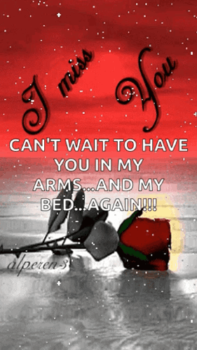 I Miss You Can't Wait to Have You in My Arms