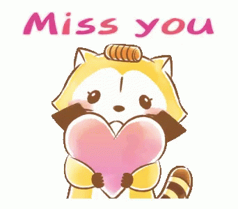 I Miss You Cute Raccoon GIF