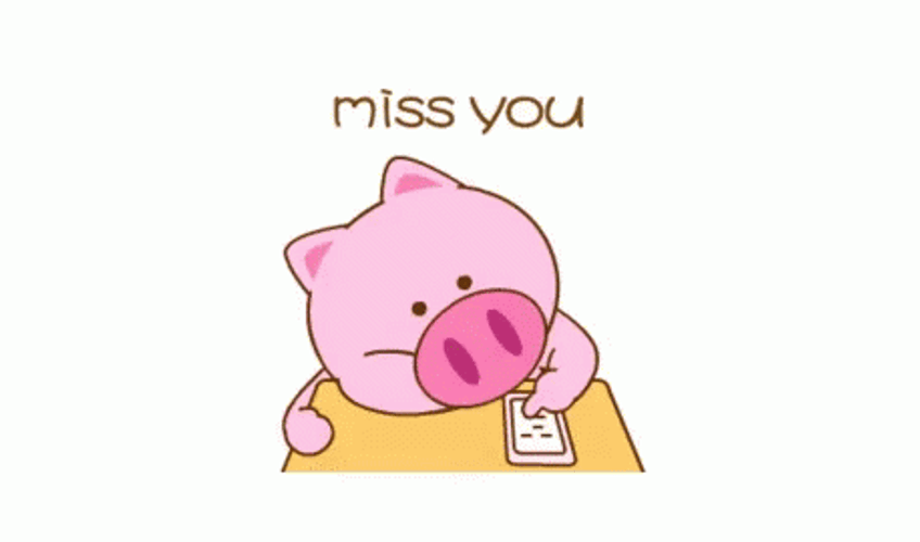 I Miss You Cute Sad Pig GIF