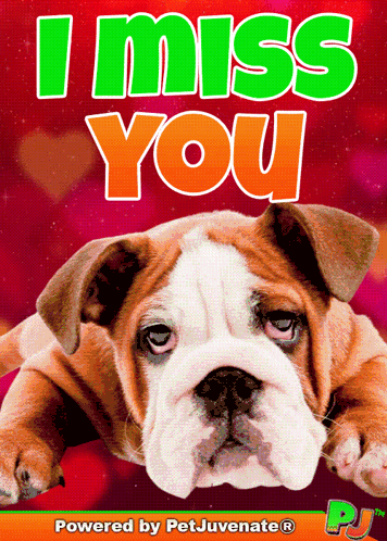 I Miss You Dog Poster