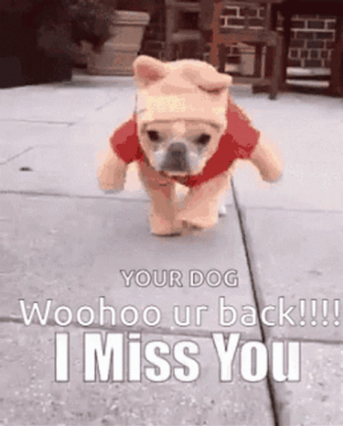 I Miss You Dog Woohoo GIF
