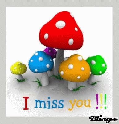 I Miss You GIF