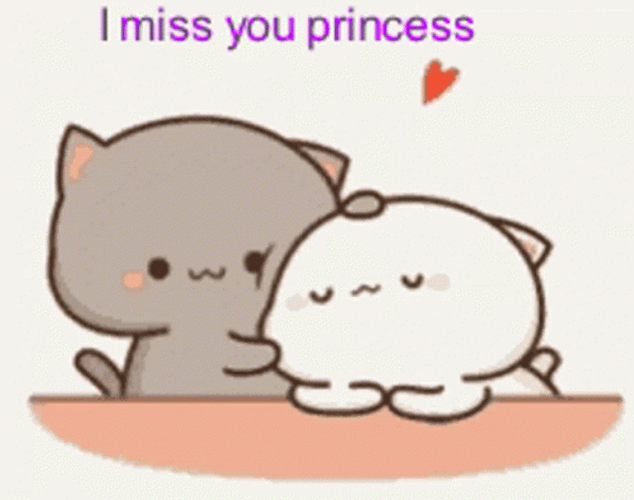 I Miss You Princess Cute Cats GIF