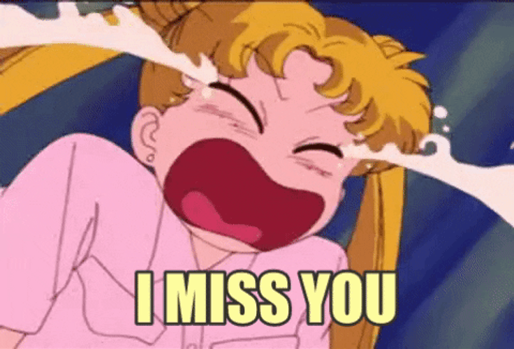 I Miss You Sailor Moon GIF