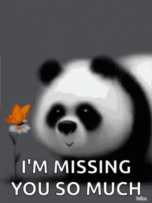 I Miss You So Much Cute Panda GIF