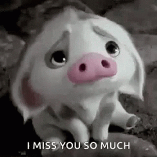 I Miss You So Much Cute Pig Sad GIF