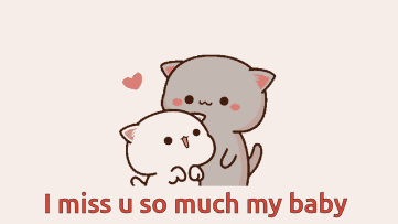 I Miss You So Much My Baby Peach Cat GIF
