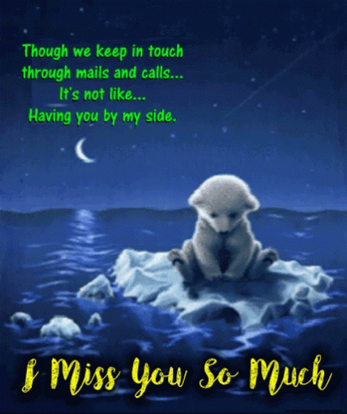 I Miss You So Much Not Like Having You By My Side GIF