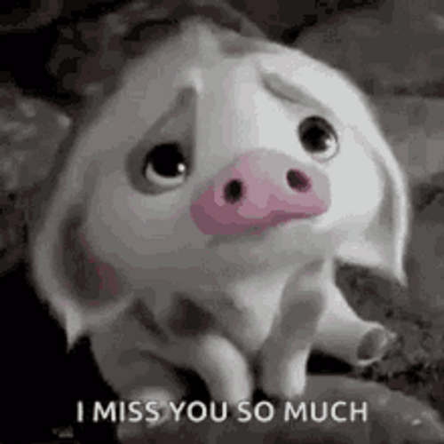 I Miss You So Much Piglet GIF