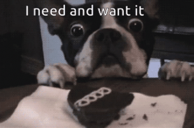 I Need It Want It Dog GIF