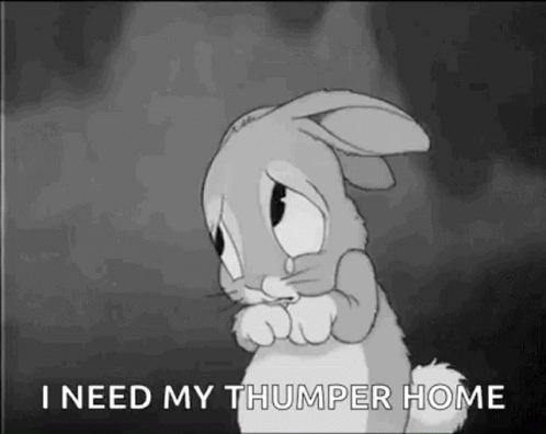 I Need My Thumper Home GIF