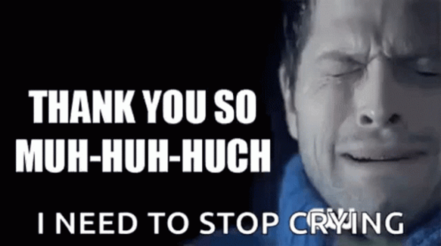 I Need To Stop Crying Thank You So Much GIF