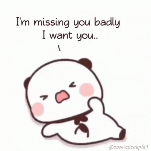 I Need You Panda Tantrums GIF