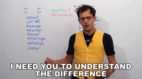 I Need You To Understand The Difference GIF