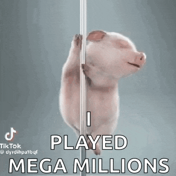 I Played The Mega Millions Lotto Gif GIF