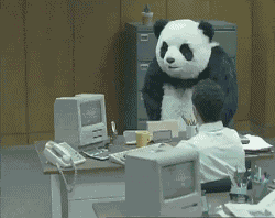 I Quit Panda Office Rage GIF