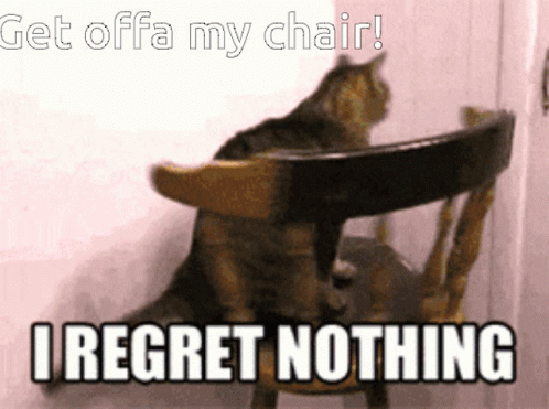I Regret Nothing Spinning Cat GIF