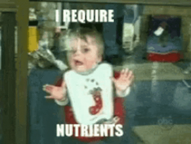 I Require Nutrients Starving GIF