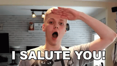 I Salute You Meme GIF