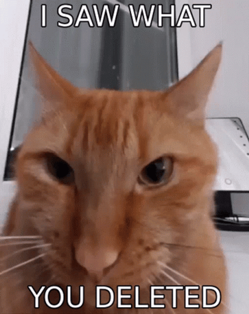I Saw What You Delete GIF