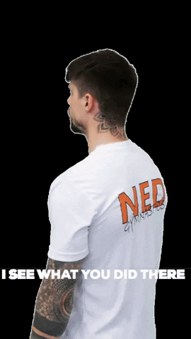 I See What You Did There Ned Man GIF