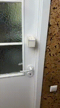 I Shouldnt Have Opened It GIF
